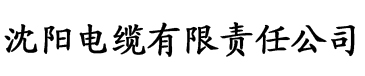 香蕉视频污污污软件电缆厂logo